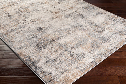 Mood MDD-2301 5' x 7' Machine Woven Area Rug