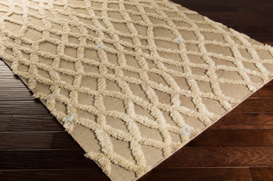 Midelt MDT-1001 2' x 3' Handmade Wool Accent Rug