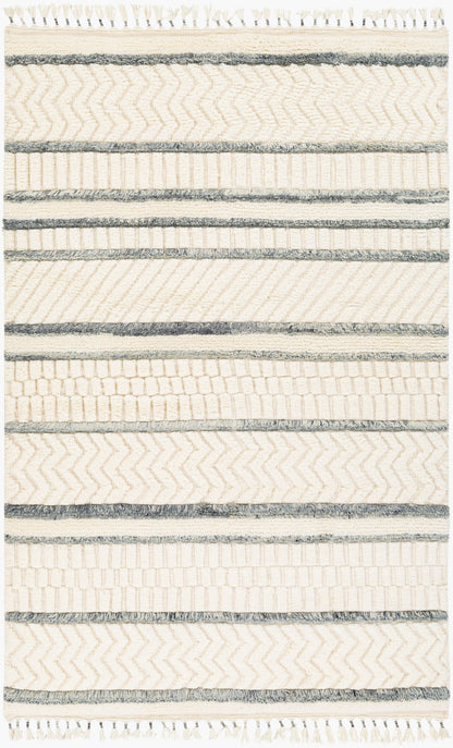 Meknes MEK-1001 2' x 3' Handmade Wool Accent Rug