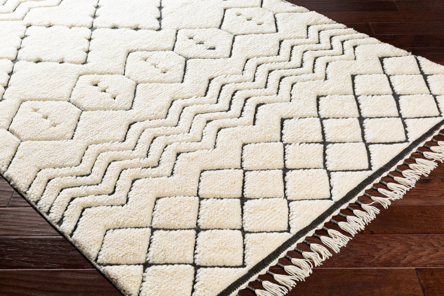Meknes MEK-1002 2' x 3' Handmade Wool Accent Rug