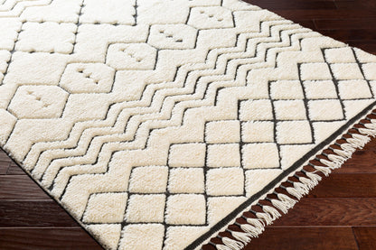 Meknes MEK-1002 2' x 3' Handmade Wool Accent Rug