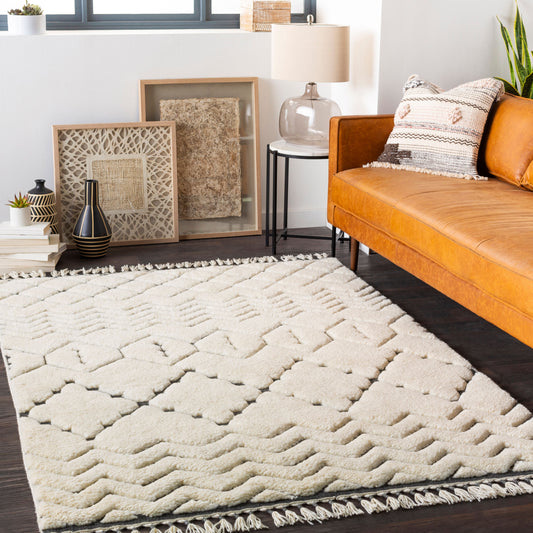 Meknes MEK-1002 2' x 3' Handmade Wool Accent Rug