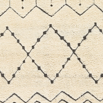Meknes MEK-1002 2' x 3' Handmade Wool Accent Rug