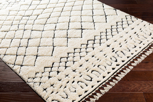 Meknes MEK-1003 2' x 3' Handmade Wool Accent Rug