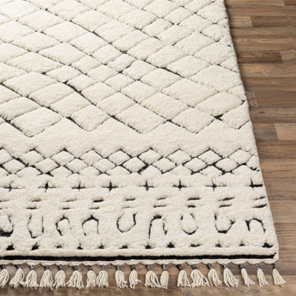 Meknes MEK-1003 2' x 3' Handmade Wool Accent Rug