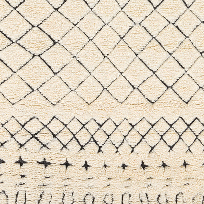 Meknes MEK-1003 2' x 3' Handmade Wool Accent Rug