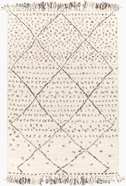 Meknes MEK-1004 2' x 3' Handmade Wool Accent Rug