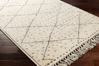 Meknes MEK-1004 Hand Knotted Rug