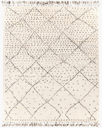 Alfombra de lana hecha a mano Meknes MEK-1004 de 8' x 10'