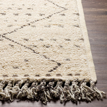 Meknes MEK-1004 2' x 3' Handmade Wool Accent Rug