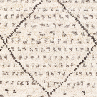 Meknes MEK-1004 2' x 3' Handmade Wool Accent Rug
