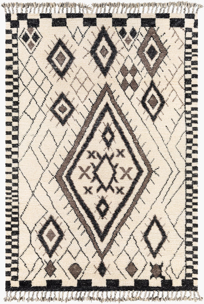 Meknes MEK-1005 2' x 3' Handmade Wool Accent Rug