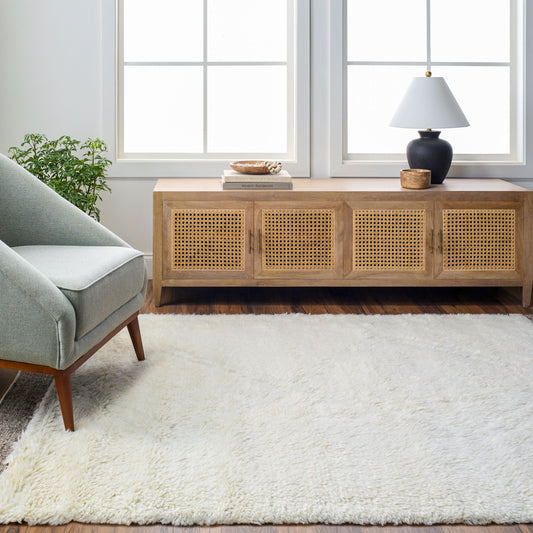 Meknes MEK-1006 2' x 3' Handmade Wool Accent Rug