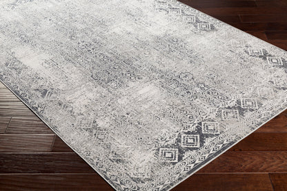 Milano MLN-2307 5' x 7' Machine Woven Area Rug
