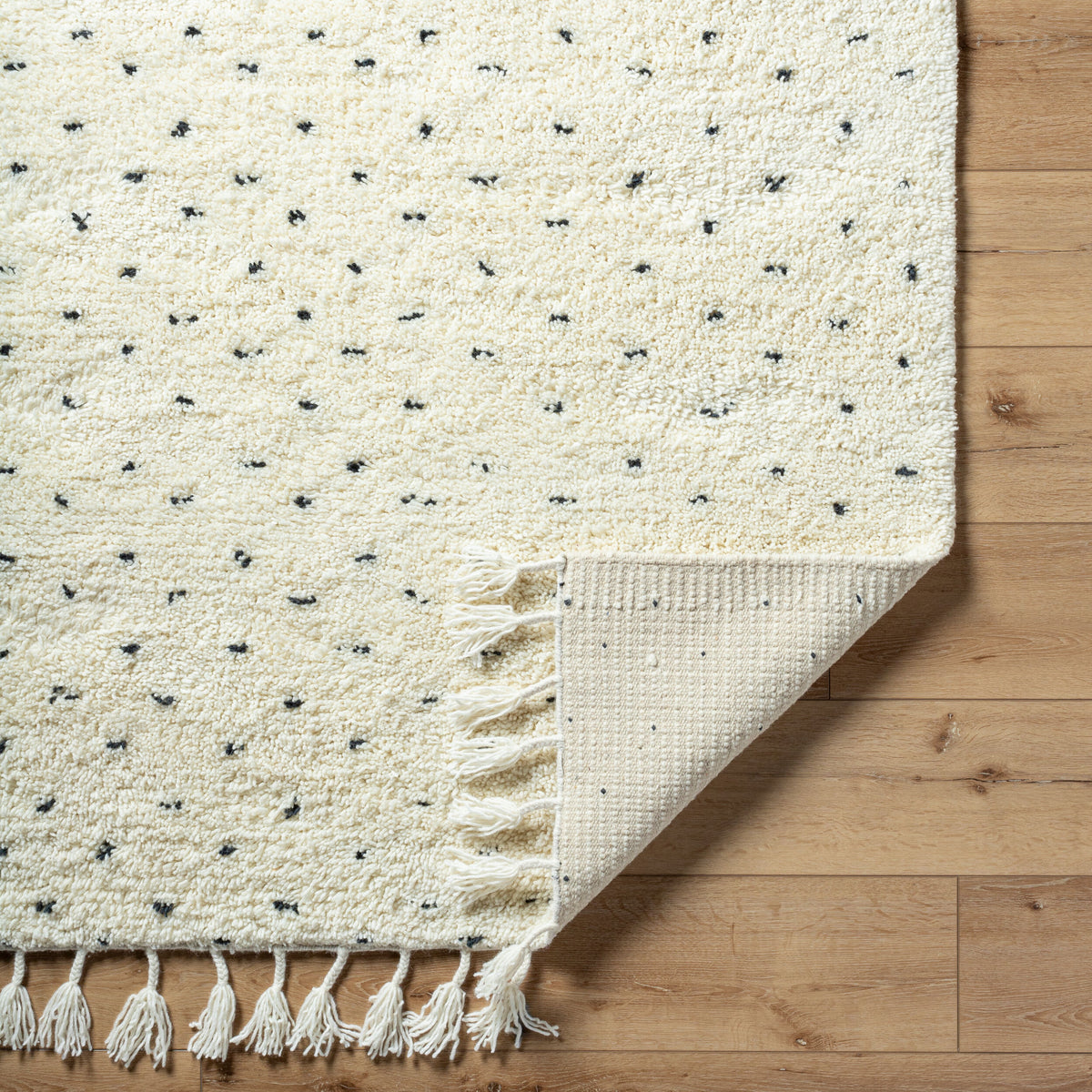 Mirela MMI-2305 Hand Woven Rug