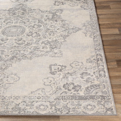 Monaco MOC-2301 2' x 3' Machine Woven Accent Rug