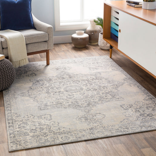 Monaco MOC-2301 2' x 3' Machine Woven Accent Rug