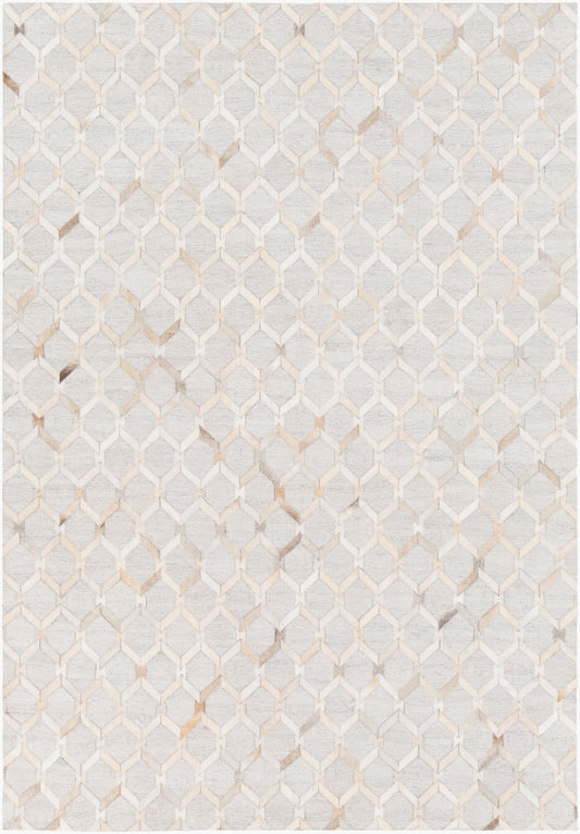Medora MOD-1005 2' x 3' Handmade Accent Rug