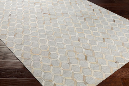 Medora MOD-1005 5' x 7' Handmade Area Rug
