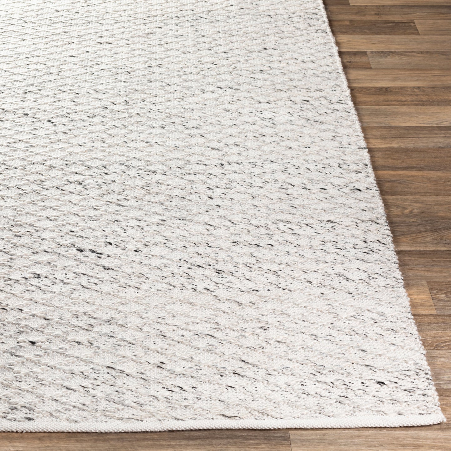 Modena MOE-1002 2' x 3' Handmade Accent Rug