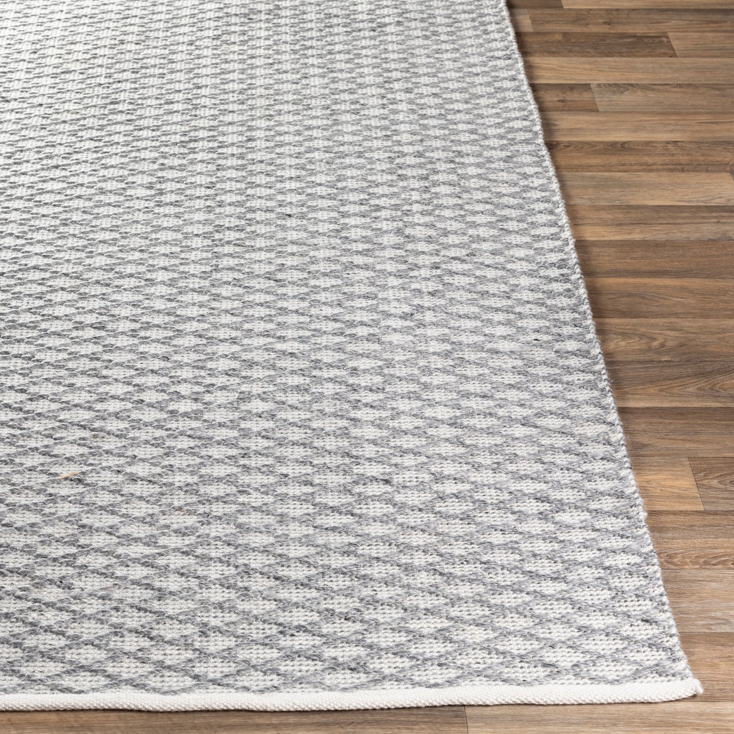 Modena MOE-1003 2' x 3' Handmade Accent Rug