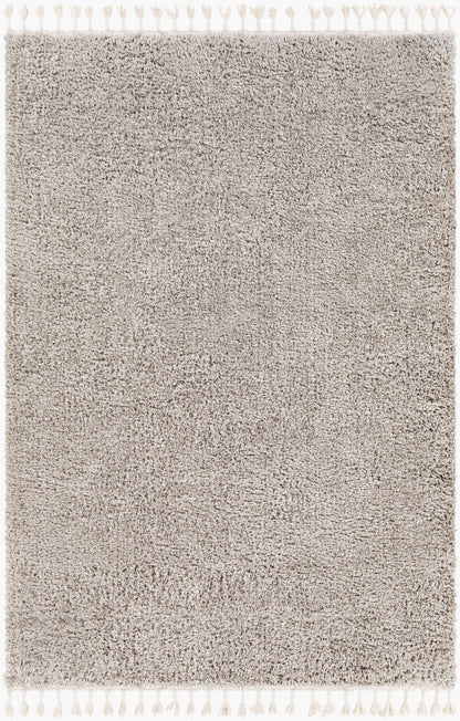 Merino MRO-2301 5' x 7' Machine Woven Area Rug
