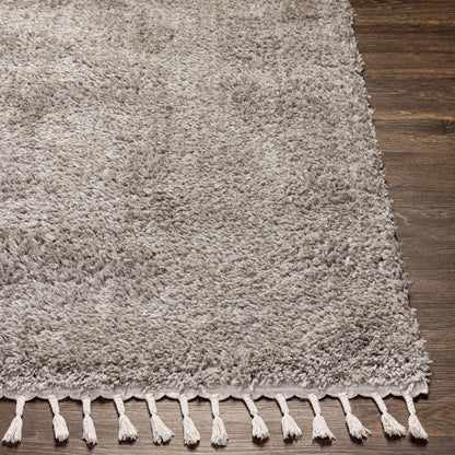 Merino MRO-2301 5' x 7' Machine Woven Area Rug