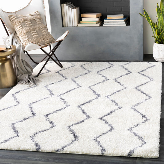 Maroc Shag MRS-2307 2' x 3' Machine Woven Accent Rug