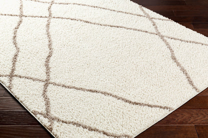 Alfombra tejida a máquina Maryland Shag MSG-2302 de 1,52 m x 2,13 m