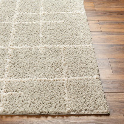 Alfombra tejida a máquina Maryland Shag MSG-2307 de 8' x 10'