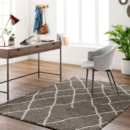 Maryland Shag MSG-2308 5' x 7' Machine Woven Area Rug