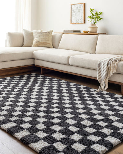 Nicole NCO-2302 Alfombra decorativa hecha a mano de 2' x 3'
