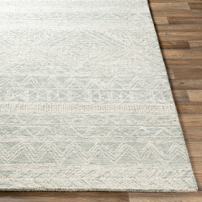 Newcastle NCS-2312 2' x 3' Handmade Wool Accent Rug