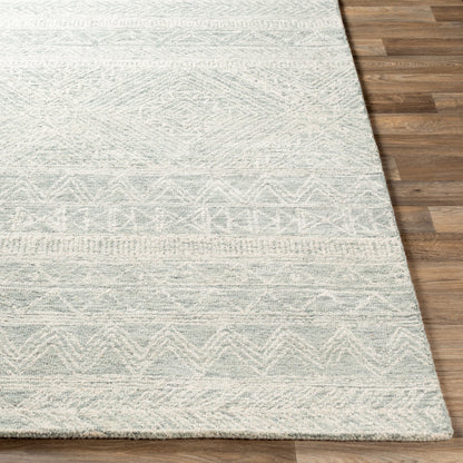 Newcastle NCS-2312 8' x 10' Handmade Wool Area Rug