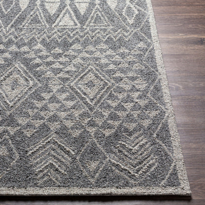 Newcastle NCS-2316 2' x 3' Handmade Wool Accent Rug