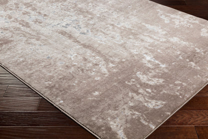 Neptune NEP-1002 2' x 3' Machine Woven Accent Rug