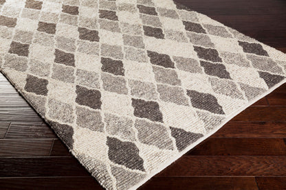 Nico NIC-7002 Hand Woven Rug