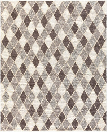 Nico NIC-7002 8' x 10' Handmade Area Rug