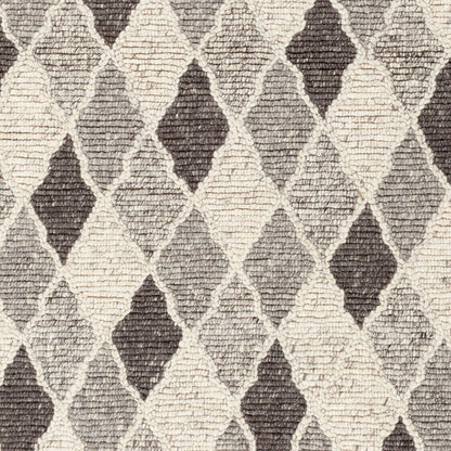 Nico NIC-7002 8' x 10' Handmade Area Rug