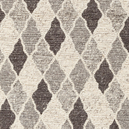 Nico NIC-7002 2' x 3' Handmade Accent Rug