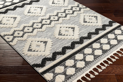 Nora NOA-2301 6' x 9' Machine Woven Area Rug