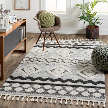 Nora NOA-2301 6' x 9' Machine Woven Area Rug