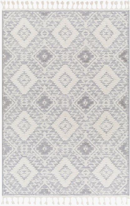 Nora NOA-2303 6' x 9' Machine Woven Area Rug