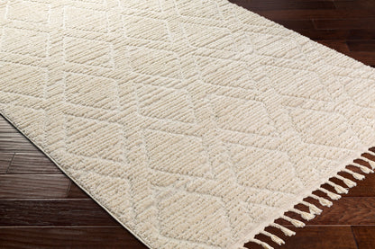Nora NOA-2308 5' x 7' Machine Woven Area Rug