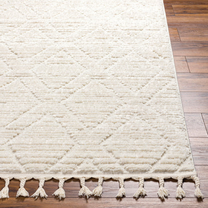Nora NOA-2308 5' x 7' Machine Woven Area Rug