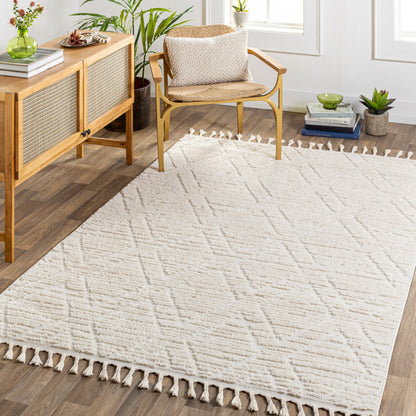 Nora NOA-2308 5' x 7' Machine Woven Area Rug