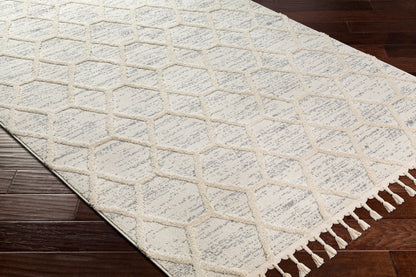 Nora NOA-2311 8' x 10' Machine Woven Area Rug