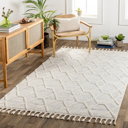 Nora NOA-2311 8' x 10' Machine Woven Area Rug
