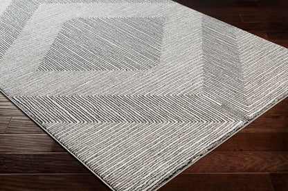 Nepali NPI-2316 2' x 3' Machine Woven Accent Rug
