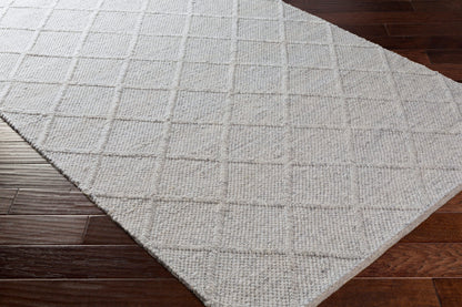 Napels NPL-2304 Hand Woven Rug